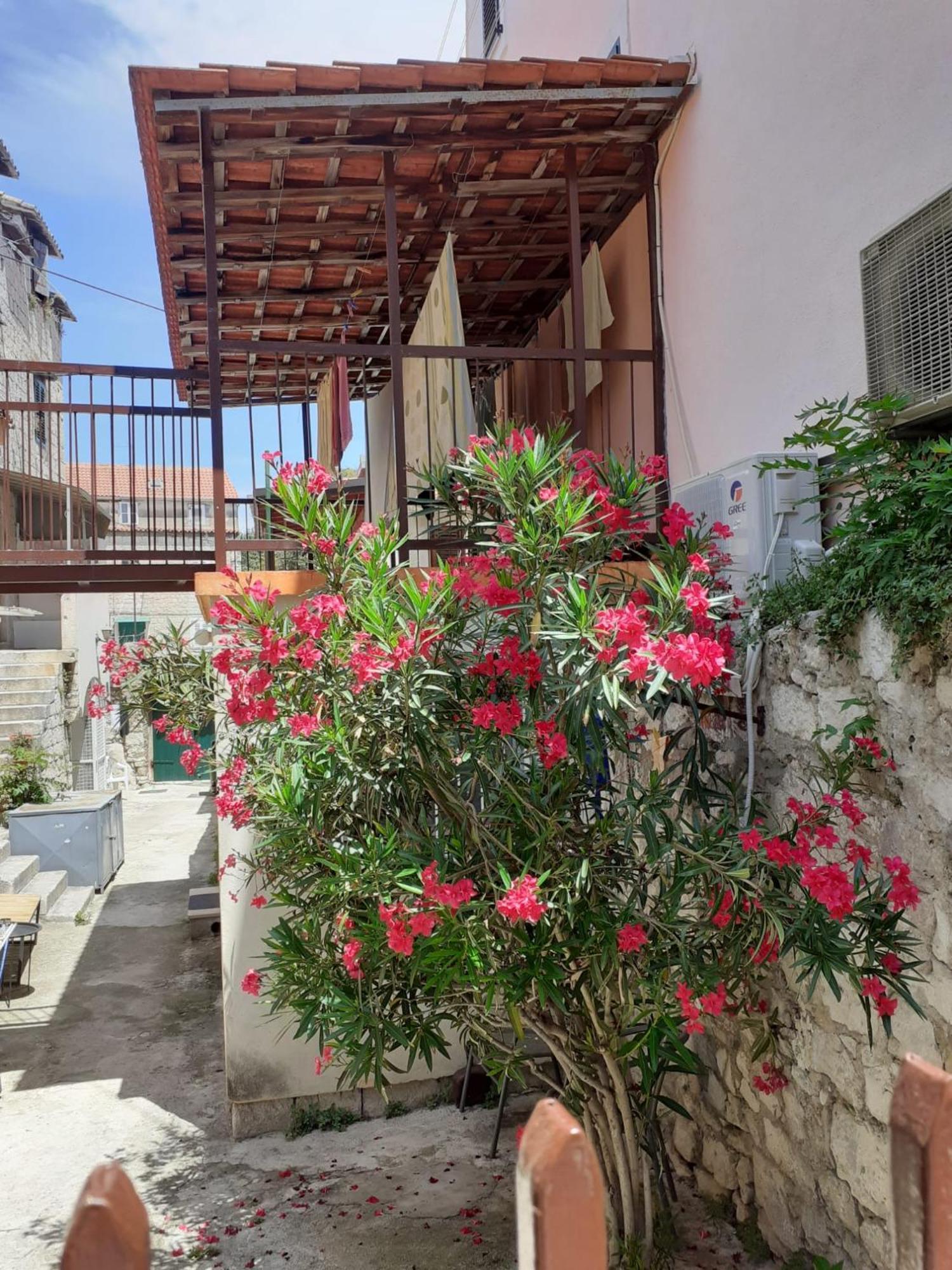 Oleander Apartments Split Dış mekan fotoğraf
